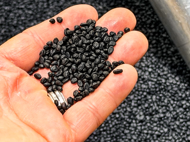 A person's hand, holding small black plastic pellets before they are melted and used for making holsters.