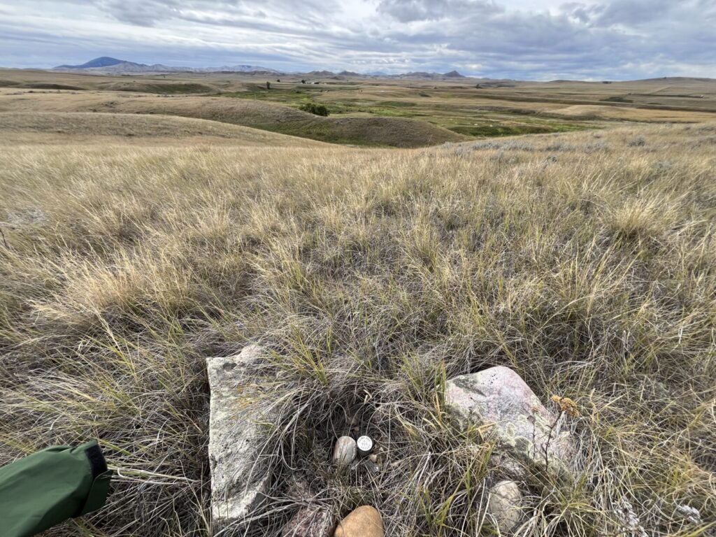 View of the northern plains where Nez Perce encamped along Snake Creek in September 1877. A circular silver marker in the foreground marks where Poker Joe was killed. In the middle ground is a green area where the Nez Perce were besieged. On the horizon, left of center, are the Bear Paw mountains of Montana.
